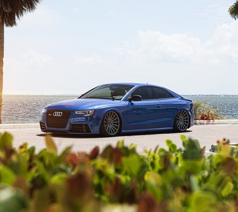 Audi Rs5, new, HD wallpaper