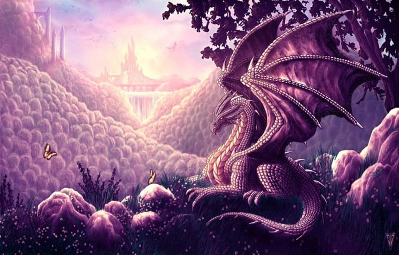 fairy dragon wallpaper