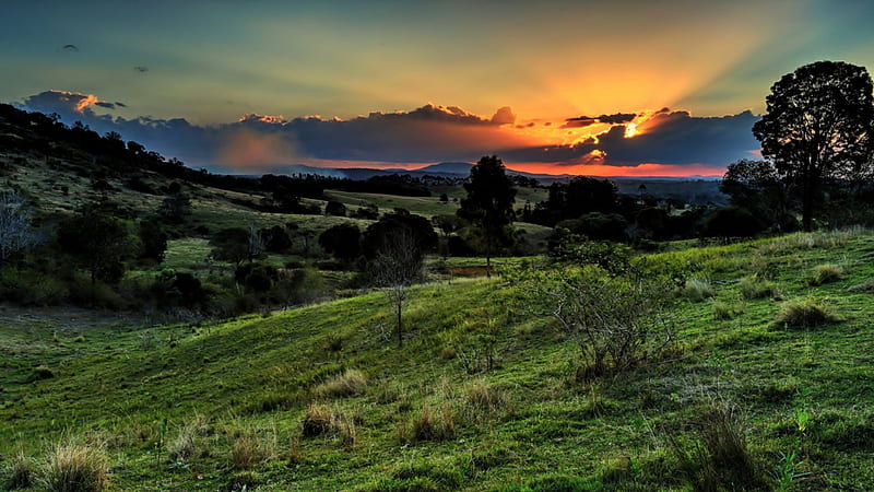 grassy hills at sunset, hills, rays, grass, sunset, trees, clouds, HD wallpaper