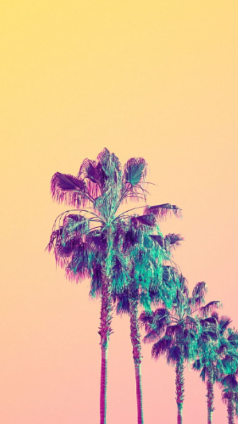 Palm Tree Wallpaper (68+ images)