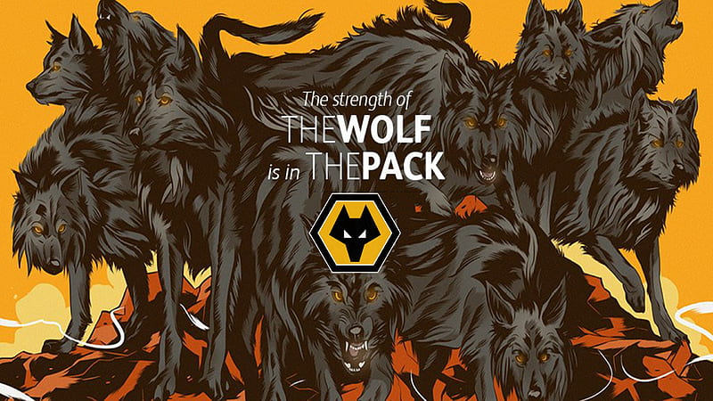 The Strength of the Wolf is in the Pack, fc, wolves fc, the wolves, molineux, english, out of darkness cometh light, football, wwfc, soccer, W88, england, old gold, wolverhampton wanderers football club, wolves football club, gold and black screensaver, wolverhampton wanderers fc, fwaw, wolverhampton, adidas, premier league, wolf, wolves, wanderers, HD wallpaper