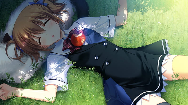 Grisaia no Kajitsu - Irisu Makina, Games, Frontwing, Anime, Visual Novel, CG, Girl Irisu Makina, Lovely Apple, Sleeping, Grisaia, Cute, Game, VN, Brunette, Irisu, , Makina, Grisaia no Kajitsu, Visual Novels, HD wallpaper