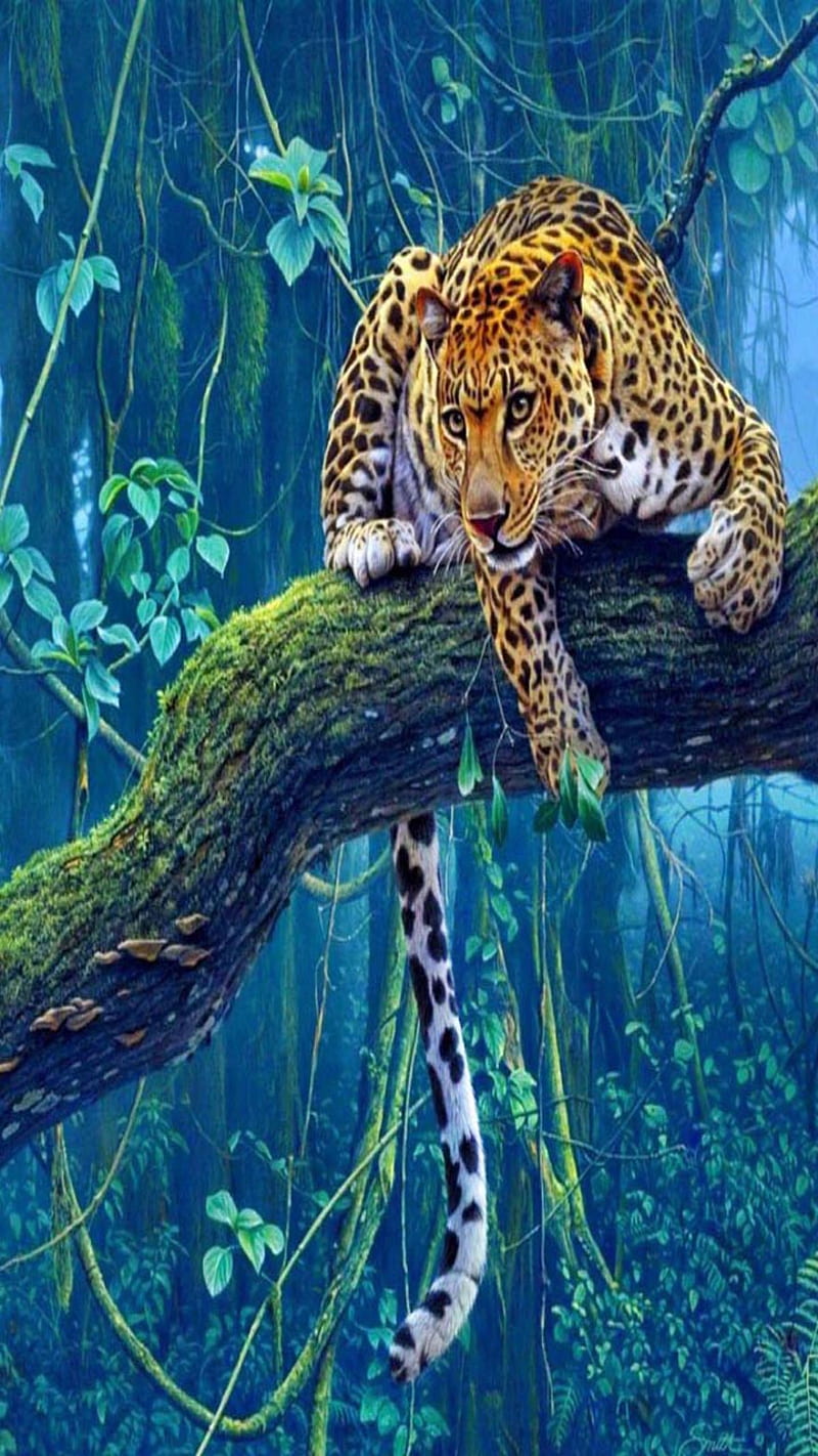 Leopard, look, nice, HD phone wallpaper | Peakpx