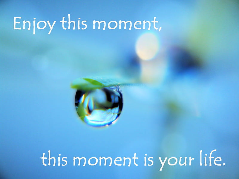 This Moment Water Drop Life Quote This Moment Hd Wallpaper Peakpx