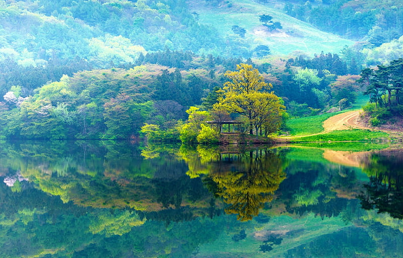 Spring Reflections, Seosan, South Korea, forest, lakes, autumn, grass, Nature Reserve, bonito, trees, mountain, reflection, HD wallpaper