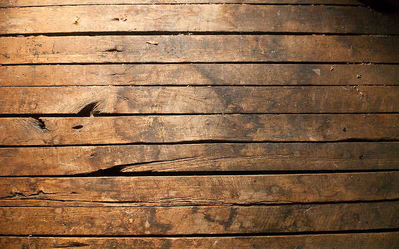 Vân gỗ (wood grain): Vân gỗ là một nét đẹp độc đáo của tự nhiên trên các vật dụng gỗ. Để thưởng thức vẻ đẹp của những tấm ván vân gỗ tuyệt đẹp, hãy xem những hình ảnh đầy sắc nét về vân gỗ và khám phá vẻ đẹp kỳ diệu này.