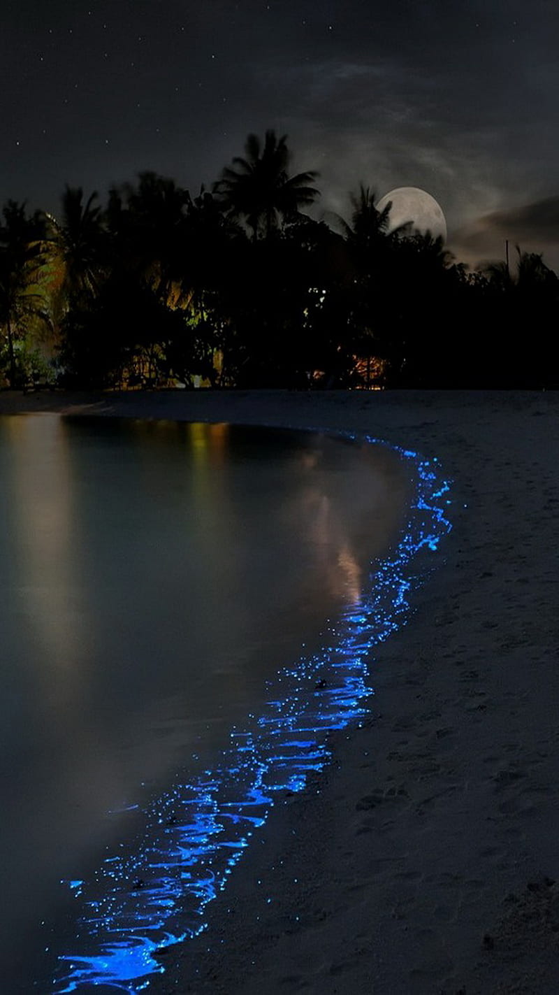 Blue Shore, night, sand, sea, water, waves, HD phone wallpaper
