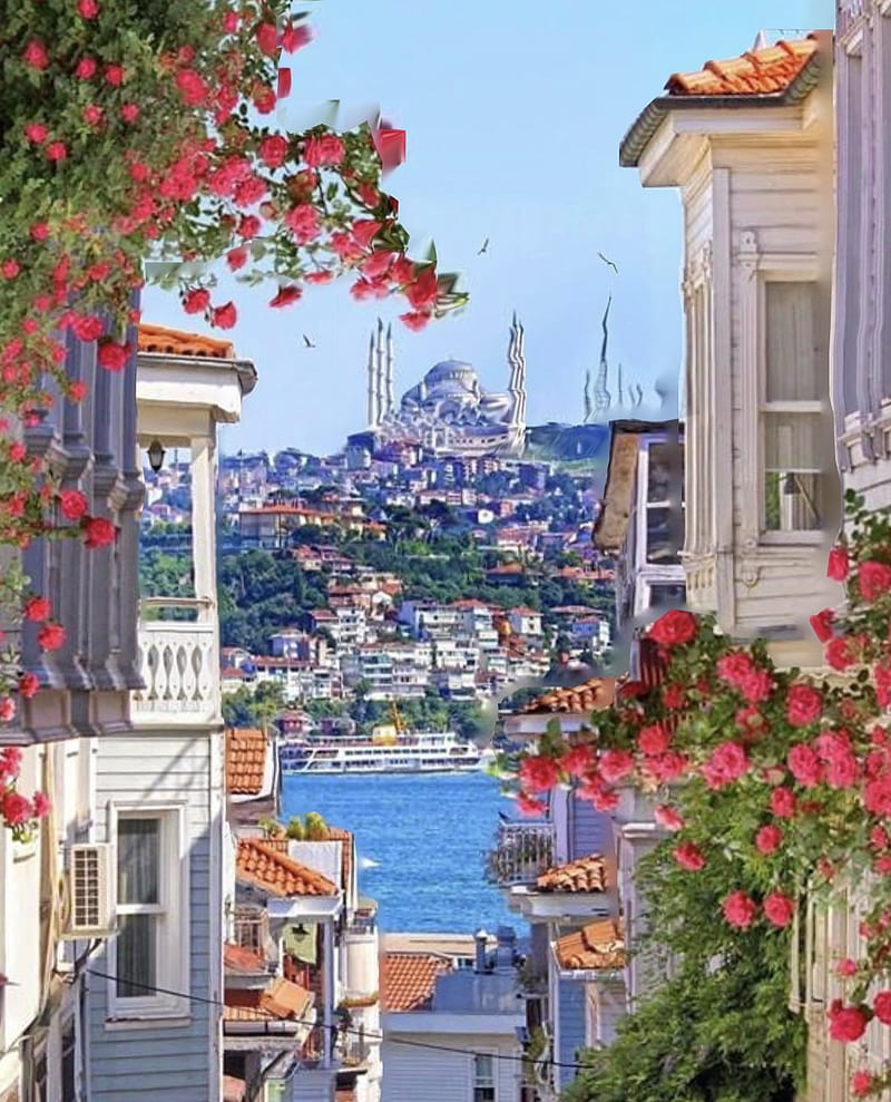 Istanbul, city, turkey, HD phone wallpaper