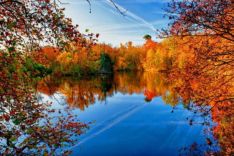 Reflections, fall, autumn, shore, falling, bonito, foliage, leaves ...