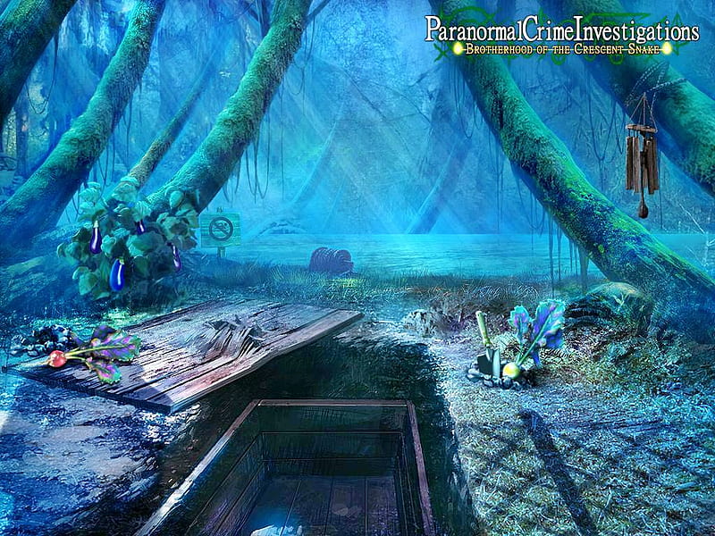 Paranormal Crime Investigations – Brotherhood of the Crescent Snake18, video games, games, hidden object, fun, HD wallpaper
