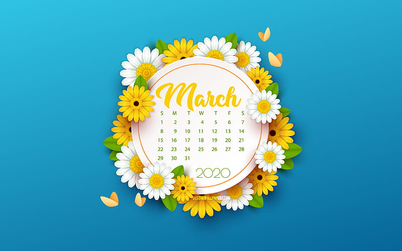 2020 March Calendar, blue background with flowers, spring blue background, 2020 spring calendars, March, flowers spring background, March 2020 Calendar, HD wallpaper