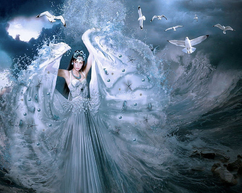Sea Witch, Water, Starfish, Seahorses, Witch, Sea gulls, HD wallpaper