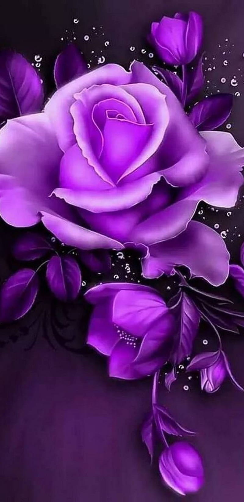 Rosa morada, flor, Fondo de pantalla de teléfono HD | Peakpx