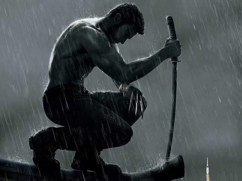 The Wolverine-2012 Movie, HD wallpaper