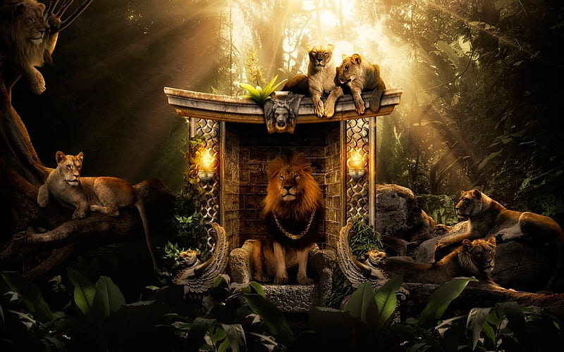 Lions Jungle, lions, jungle, creative, graphics, HD wallpaper