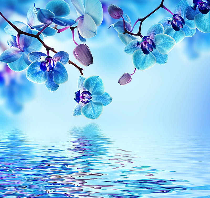 Spring Flower Blue Sky Light Effect Creative Background, Desktop Wallpaper,  Spring, Flowers Background Image And Wallpaper for Free Download