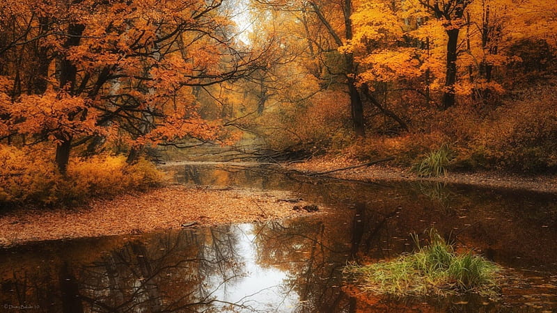 Simply Beautiful Autumn ***, rzeka, las, drzewa, jesien, nature, HD ...