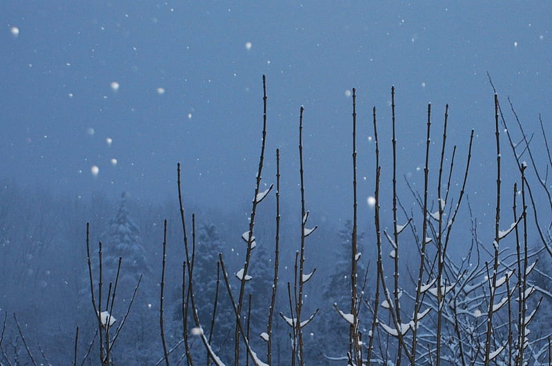 Fiocchi di neve, Neve, Montagna, Notte, Fiocchi, HD wallpaper