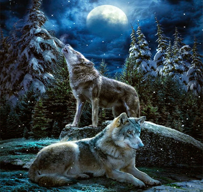 Winter Howl, wolfpack, snow, painting, wolves, trees, artwork, HD wallpaper