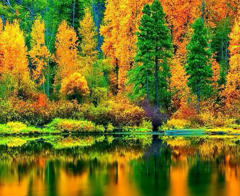 Autumn Reflection, forest, autumn, nature, reflection, trees, hillside ...