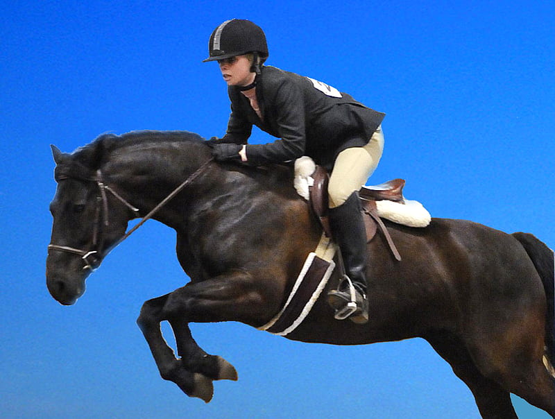 Black Jumper, rider, blue, animals, horses, HD wallpaper