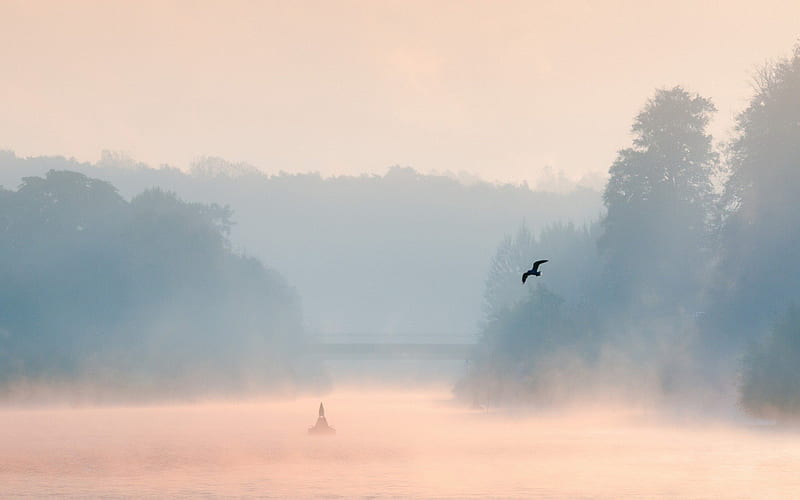amazing misty lake, bird, bridge, buoy, lake, mist, HD wallpaper