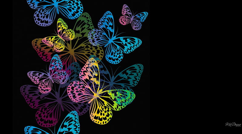 Butterfly Design II, paint, colors, black, butterflies, spring, collage, abstract, bright, summer, nature, HD wallpaper