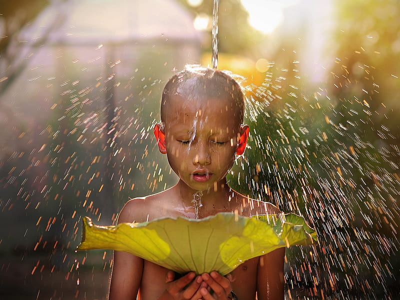 :-), monk, boy, little, water drops, copil, child, rain, leaf, HD wallpaper