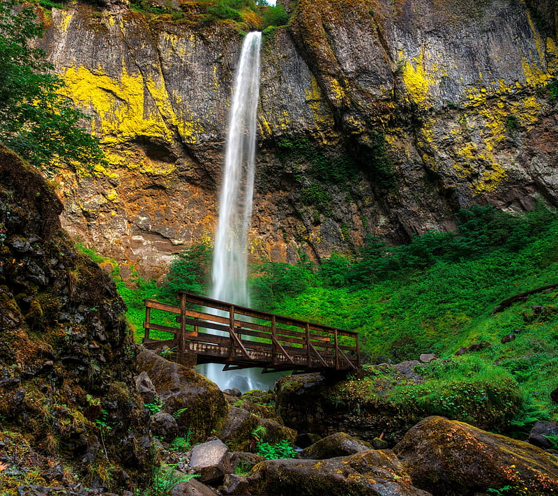 Wilderness Bridge, forest, mountain, waterfall, HD wallpaper