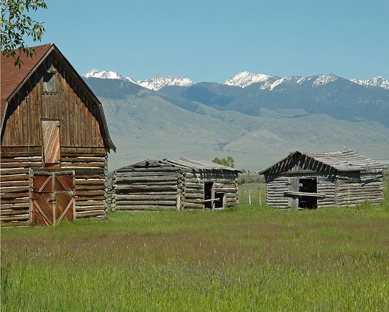 Rancho abandonado, montana, pasto, rancho, montañas, montana, granero, Fondo  de pantalla HD | Peakpx