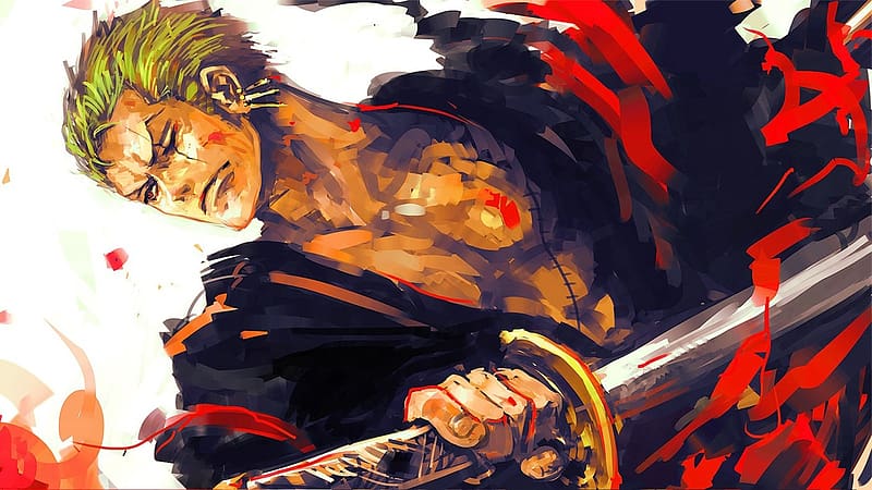 Roronoa Zoro, One Piece, Anime, HD wallpaper | Peakpx