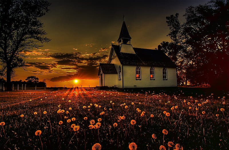 Manitoba Sunset, glowing, dandelions, sunbeams, bonito, sunshine, church, light, HD wallpaper