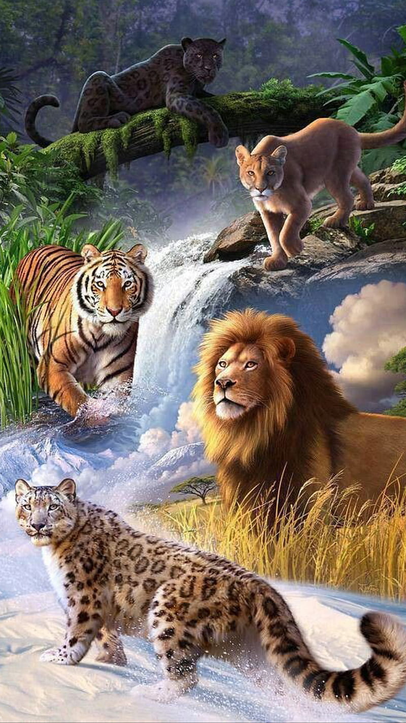 Big cats, animals, jaguar, king, land, leopard, lion, nature, panther, tiger, wild, HD phone wallpaper
