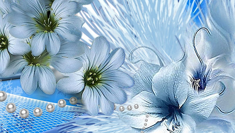Blues, flowers, fragrant, spring, summer, flowers, lily, garden, pearls, daisy, blue, HD wallpaper