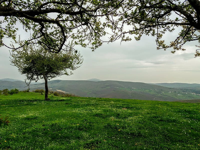 peace of mind, bonito, Kosovo, Mountains, Trees, HD wallpaper