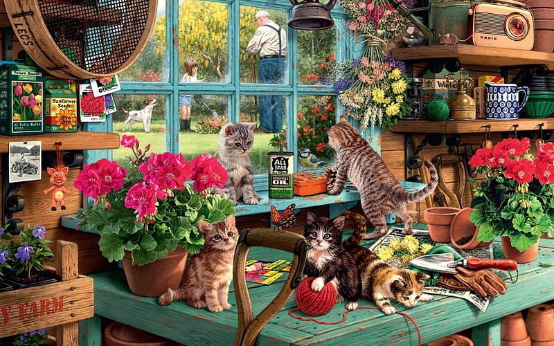 bower kittys garden, flower, pot, window, cat, HD wallpaper