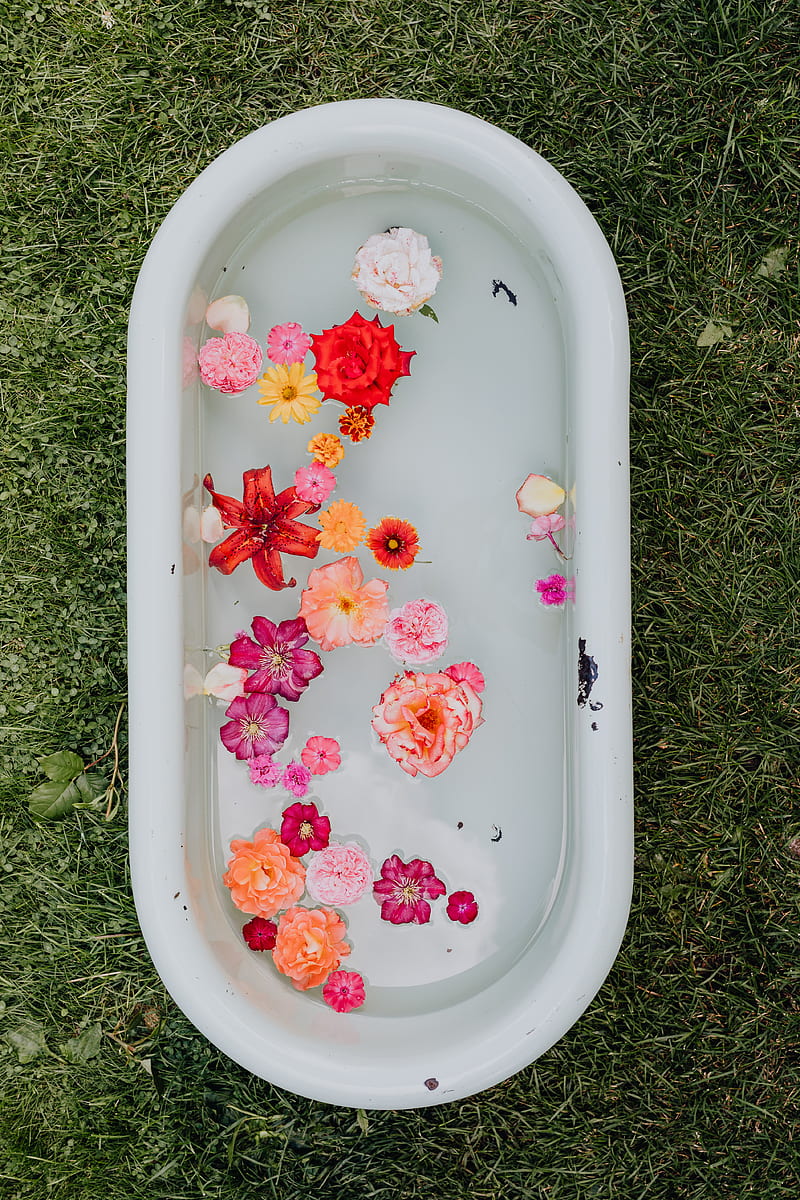 Red and White Floral Ceramic Bathtub, HD phone wallpaper