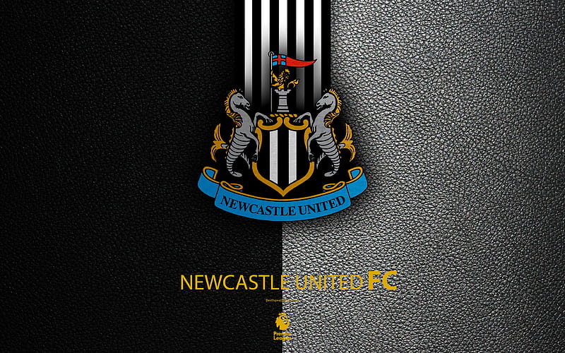 Newcastle United F.C., newcastle, soccer, the magpies, newcastle united, sport, logo, football, newcastle united fc, HD wallpaper