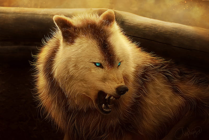 Angry Wolf , wolf, artist, artwork, digital-art, HD wallpaper