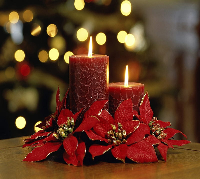 Christmas Candles, flowers, holiday, HD wallpaper