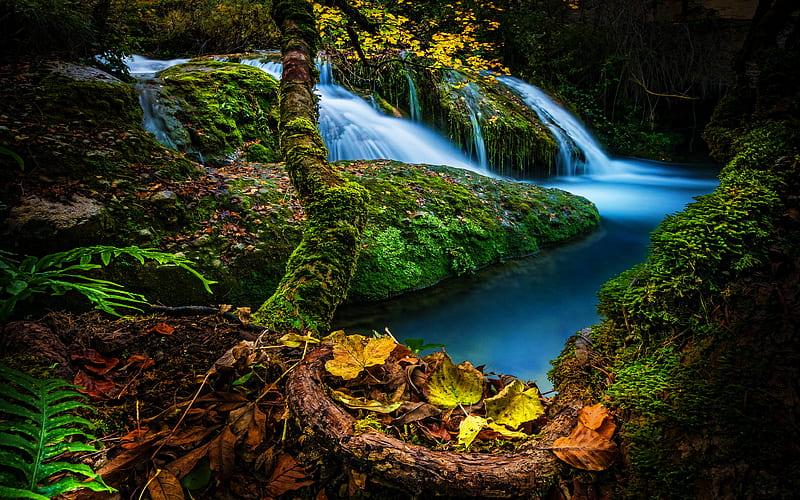 Spain beautiful nature, forest, waterfalls, autumn, Europe, jungle, spanish nature, HD wallpaper
