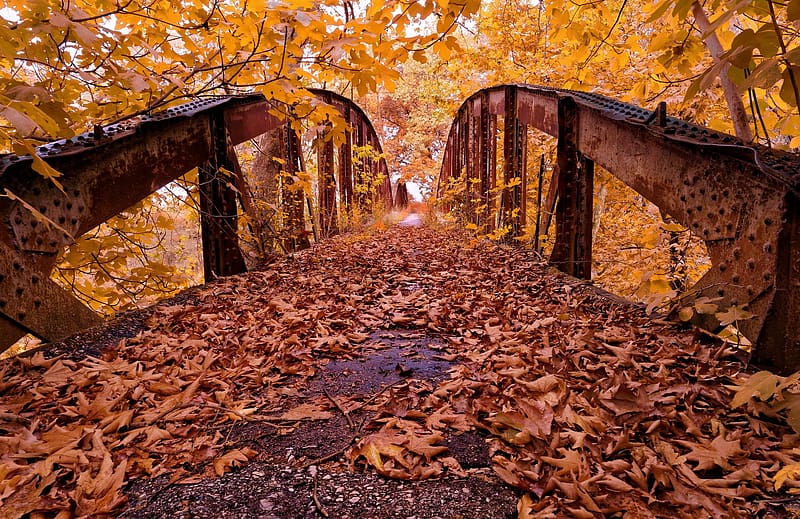 Bridges, Leaf, Fall, Bridge, Rust, HD wallpaper
