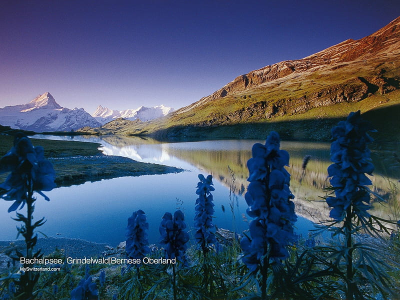 Grindelwald - Bach Lake 01, HD wallpaper
