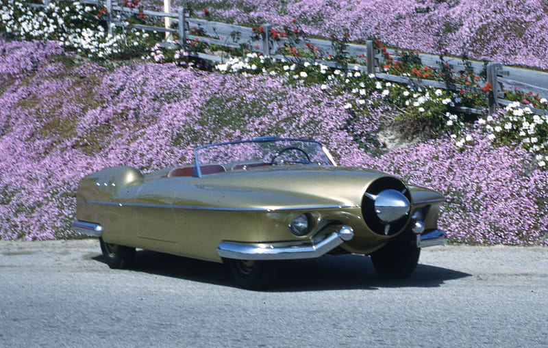 1953 manta ray, flowers, ray, car, manta, HD wallpaper