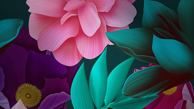 Canna Lilli, background, pink, abstract, foliage, lili, floral, pretty, green, HD wallpaper
