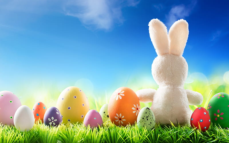 Easter eggs, white rabbit, spring, colorful Easter eggs, Easter, green grass, decoration, HD wallpaper