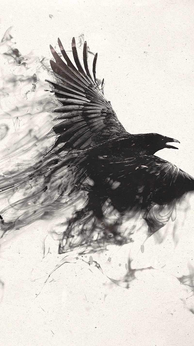 Black bird, bird, black, fly, smoke, HD phone wallpaper