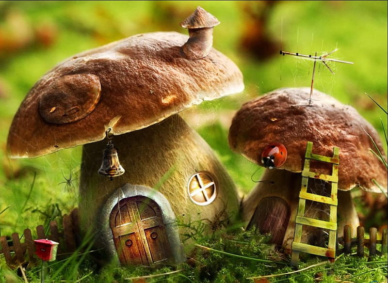 mushroom houses, green, houses, mushrooms, funny, field, HD wallpaper