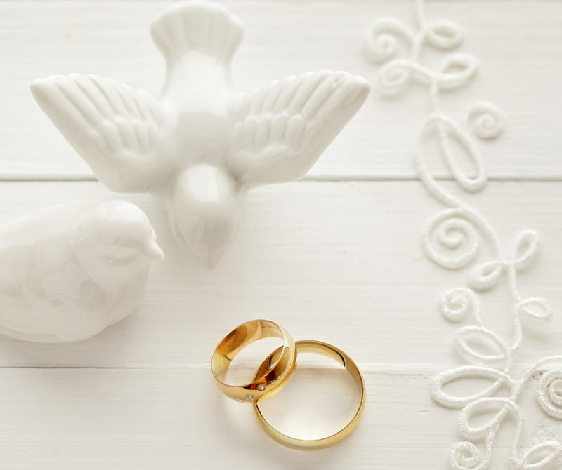 * Wedding rings *, rings, romantic, feeling, love, dove, wedding, HD wallpaper