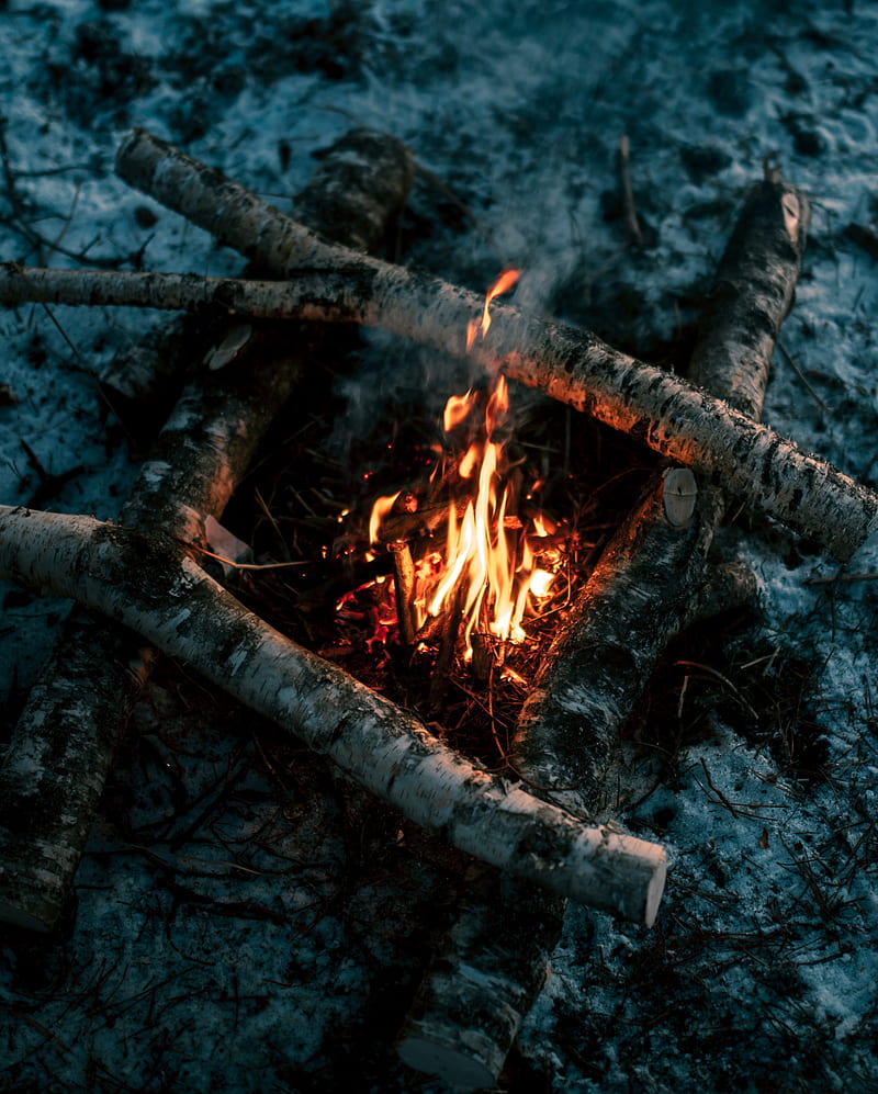 bonfire, wood, fire, flame, HD phone wallpaper